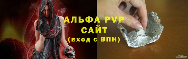 индика Баксан