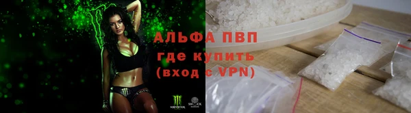 индика Баксан