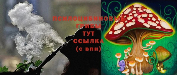прущий лед Балахна